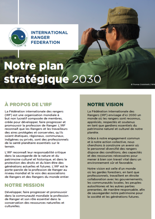 IRF 2030 Strategic Plan (Francais)